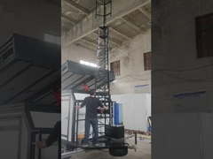 วัวตัวเล็ก